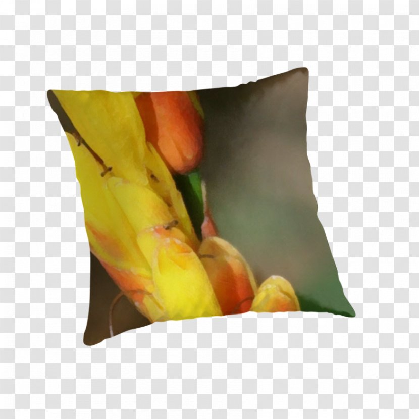 Throw Pillows Cushion Flower - Romantic Aesthetic Transparent PNG