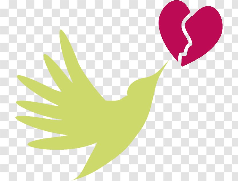 Cardiovascular Disease Clip Art Heart Circulatory System - Lime Green Dove Transparent PNG