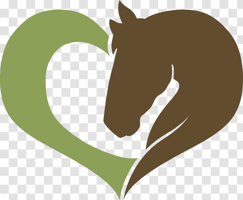 Love Horsemanship Dressage Clinic Workshop Series Equestrian - Horse Transparent PNG