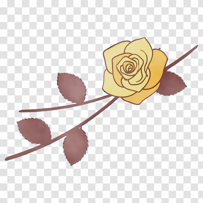 Rose - Beige - Cut Flowers Transparent PNG