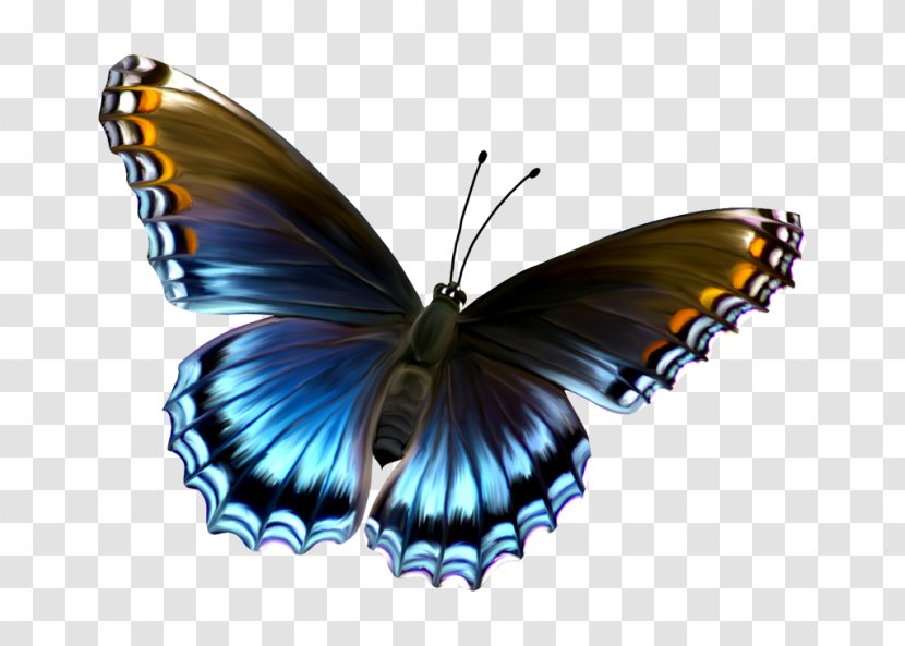 Butterfly Clip Art - Brush Footed - To Be A Transparent PNG