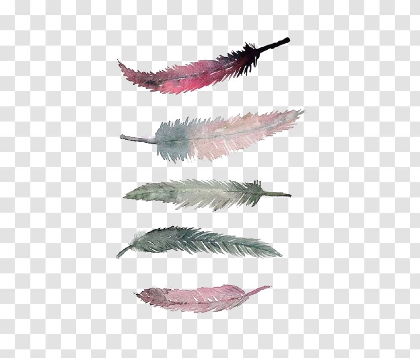 Watercolor Painting Printmaking Poster Feather - Art - Red Transparent PNG
