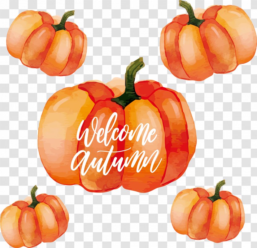 Calabaza Habanero Pumpkin Watercolor Painting - Peppers - Poster Transparent PNG