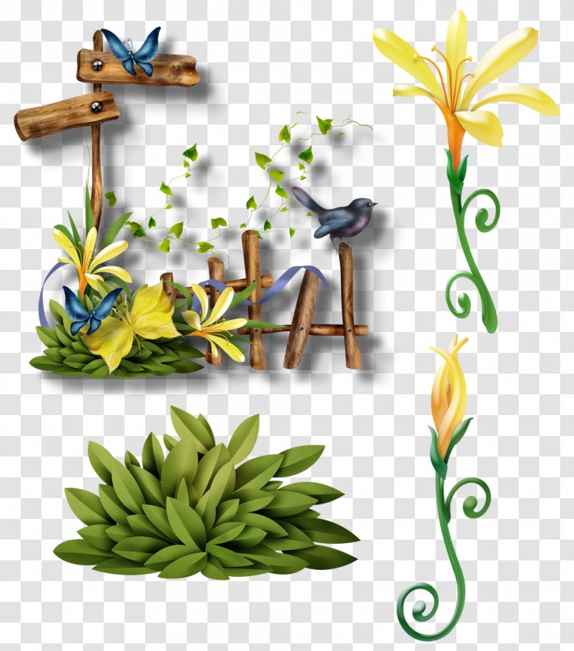 Butterfly Birds - Plant - Pollinator Transparent PNG