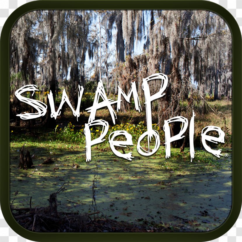 Android Ancient Aliens: The Game Hunting Games Swamp - State Park Transparent PNG