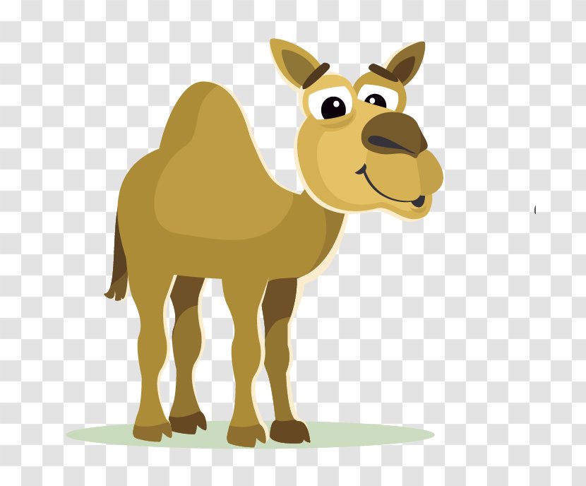 Bactrian Camel Cartoon Clip Art - Wildlife Transparent PNG