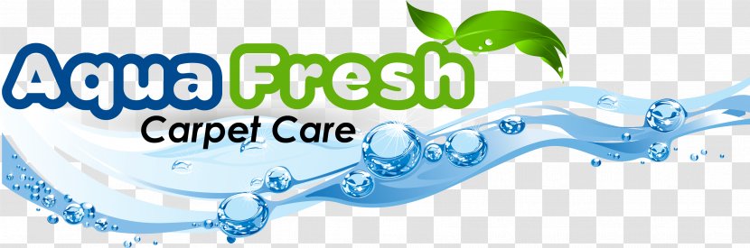 Carpet Cleaning Steam Aqua Fresh Care - Organism Transparent PNG