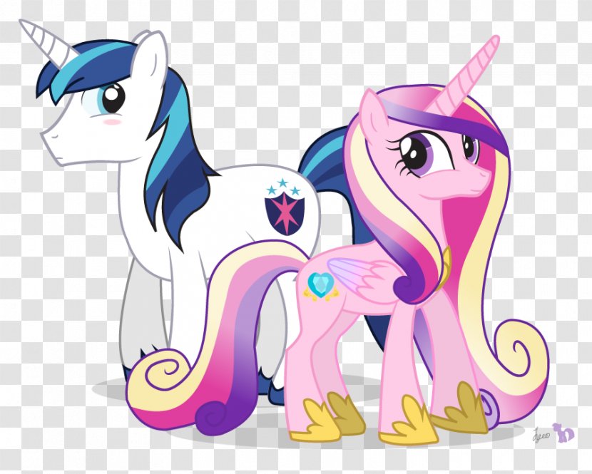My Little Pony: Friendship Is Magic Princess Cadance Shining Armor Rarity - Flower - Equestria Girls Dolls Commercial Transparent PNG