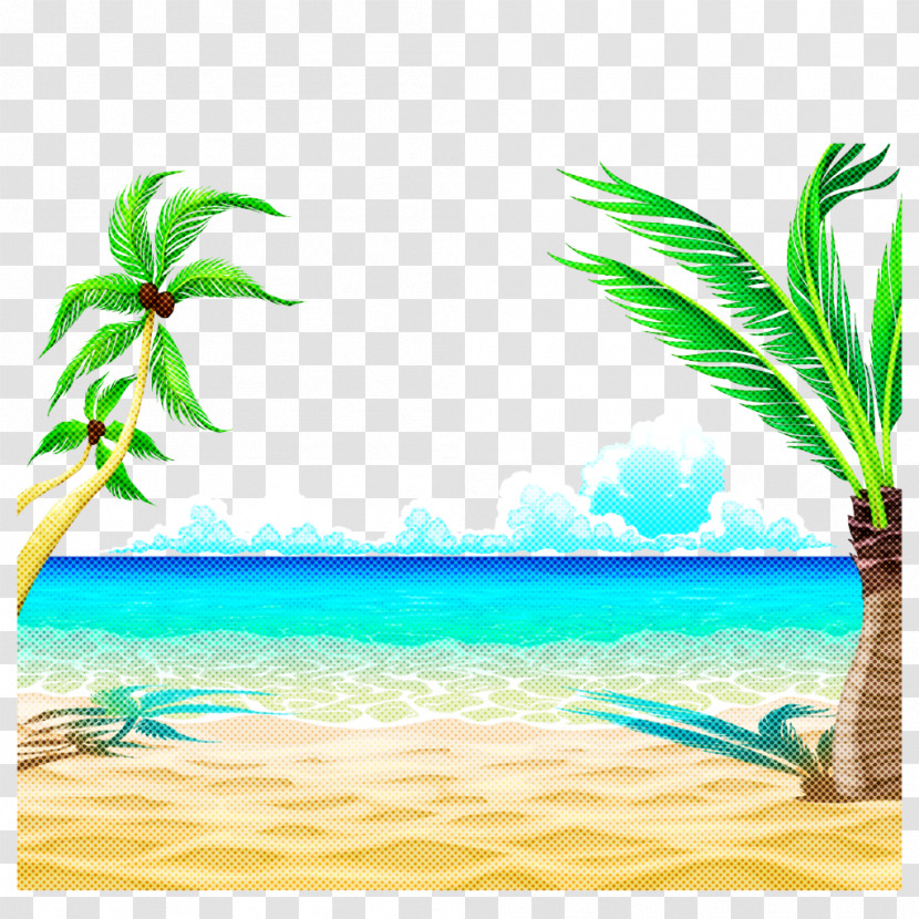 Palm Tree Transparent PNG