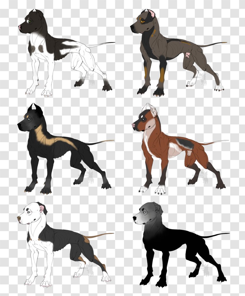 Dog Breed American Pit Bull Terrier Italian Greyhound Bulldog Transparent PNG