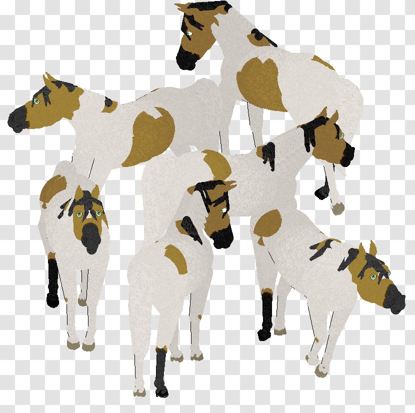 Dairy Cattle Horse Pack Animal - Like Mammal Transparent PNG