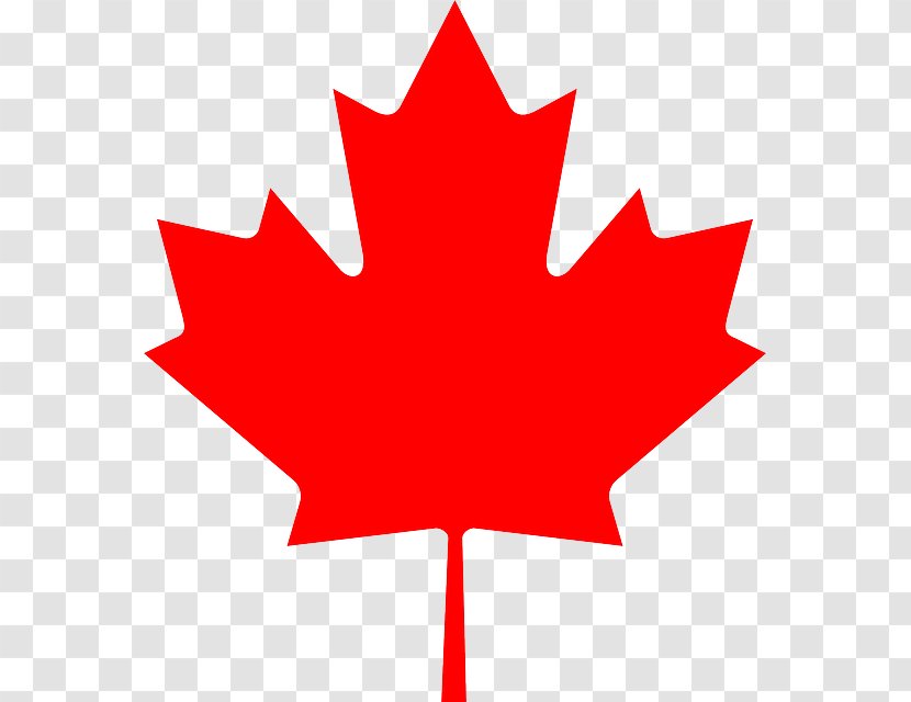 Flag Of Canada Maple Leaf Clip Art - Symmetry - Sand Beach Transparent PNG