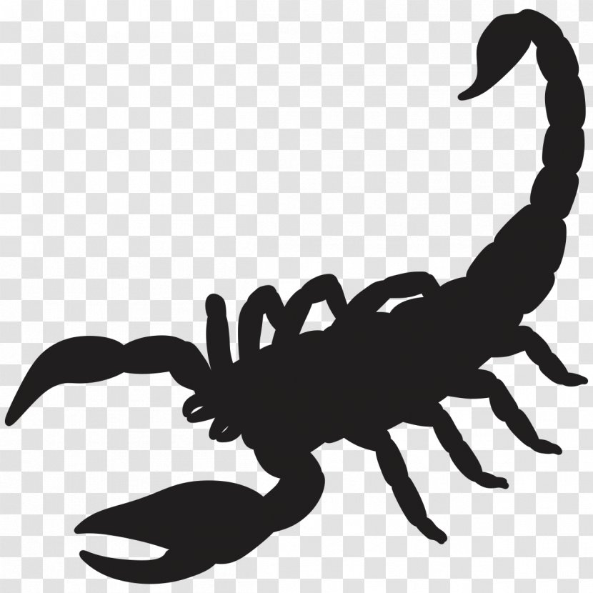 Scorpion Silhouette Drawing - Art Transparent PNG