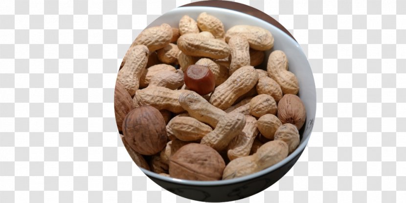 Peanut Food Health Eating - Nuts - Mixed Transparent PNG