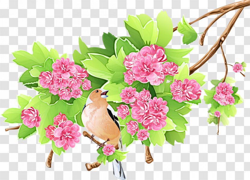 Flower Clip Art Plant Pink Cut Flowers - Spring Branch Transparent PNG