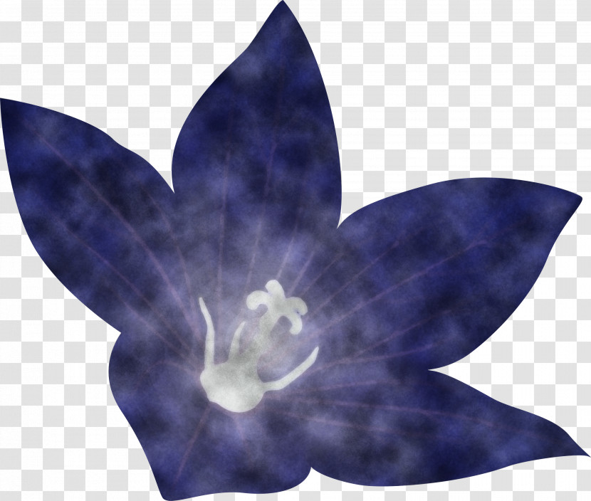 Balloon Flower Transparent PNG