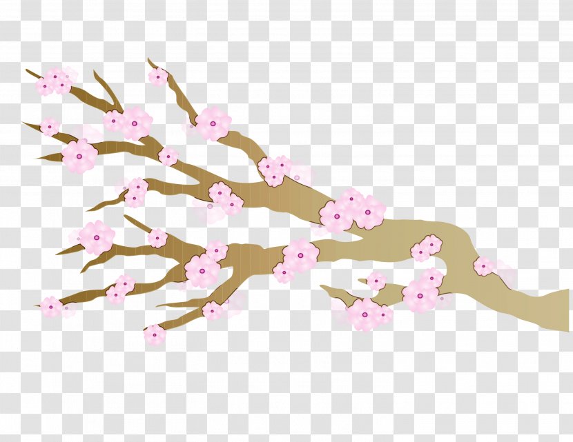 Cherry Blossom Image YouTube Video - Text Transparent PNG