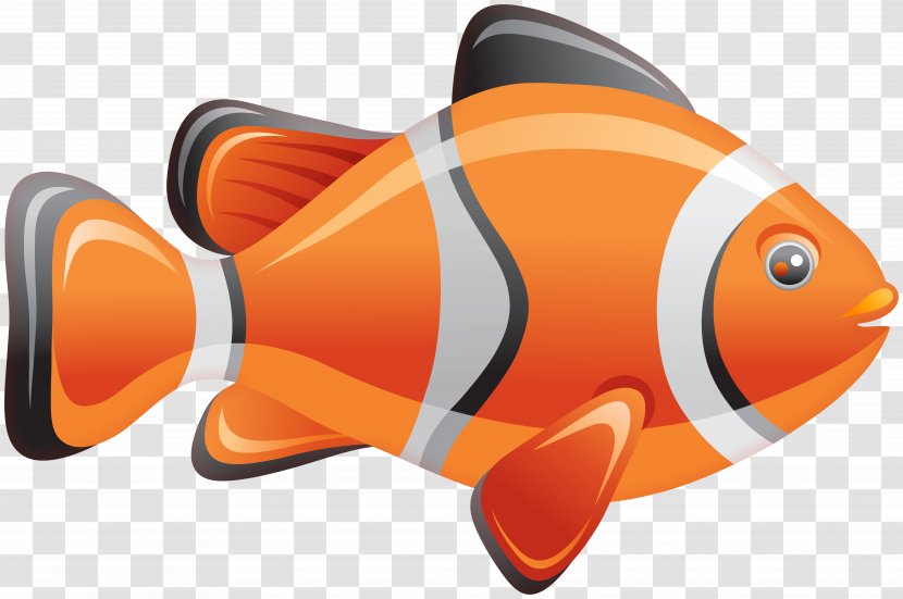 Vector Graphics Stock Illustration Photography Royalty-free - Clownfish Map Transparent PNG