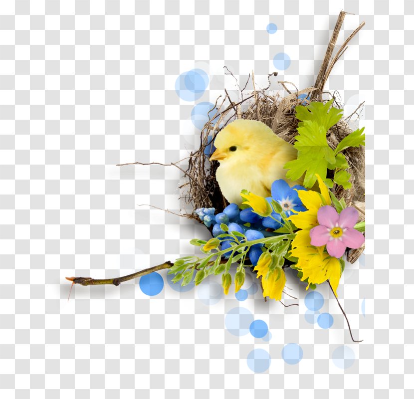 Easter Bird Clip Art - Floristry Transparent PNG