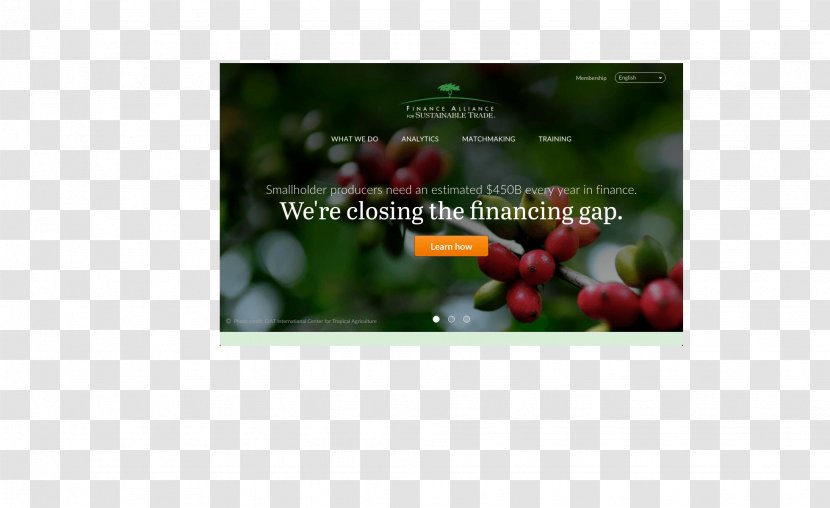 Video Plant Advertising Brand Multimedia Transparent PNG