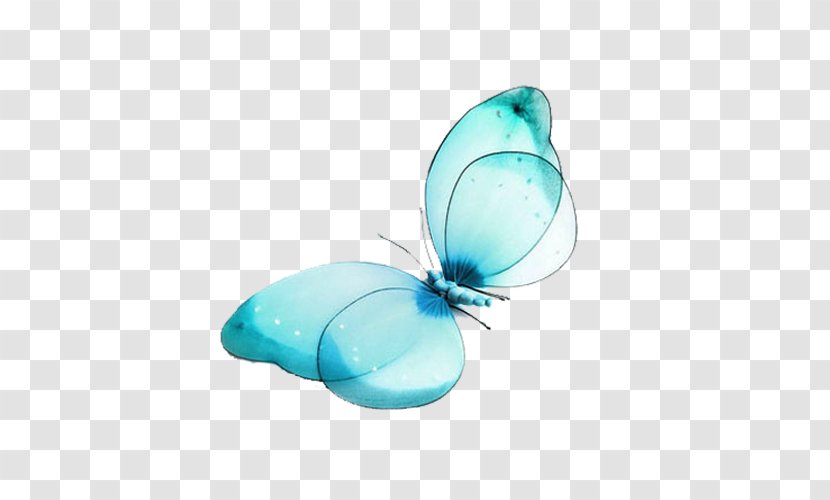 Butterfly High-definition Television Wallpaper - Highdefinition Video - Blue Transparent PNG