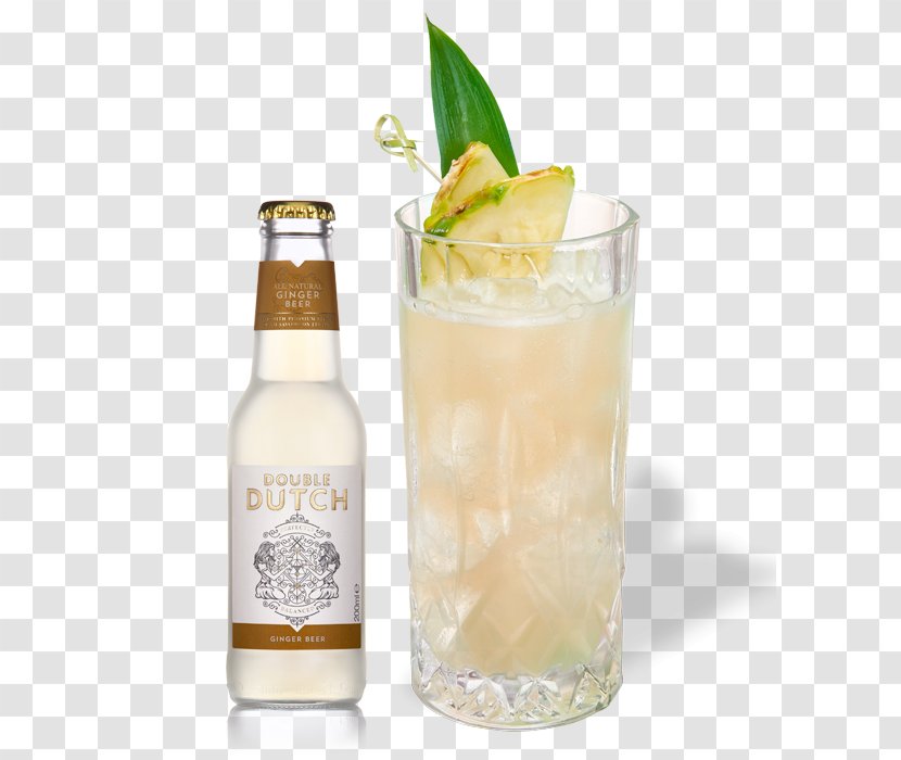 Ginger Beer Tonic Water Drink Mixer Fizzy Drinks Transparent PNG