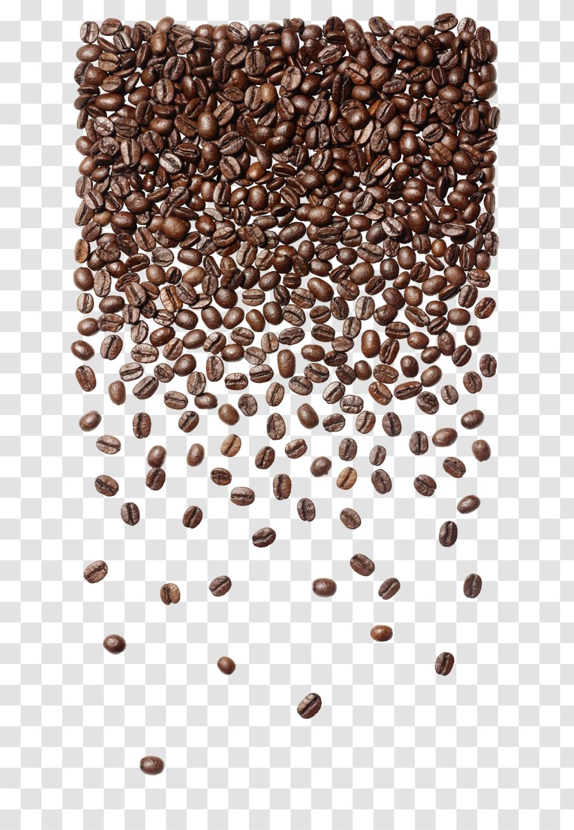 Coffee Bean Cafe Seattle's Best Bag - Coffe Been Transparent PNG