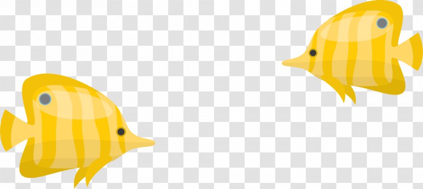 Beak Water Bird Cartoon Illustration - Organism - Yellow Fish Transparent PNG