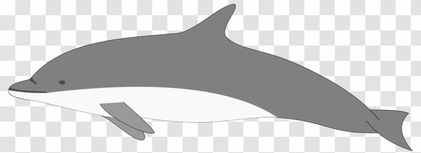 Whale Cartoon - Blue - Harbour Porpoise Transparent PNG