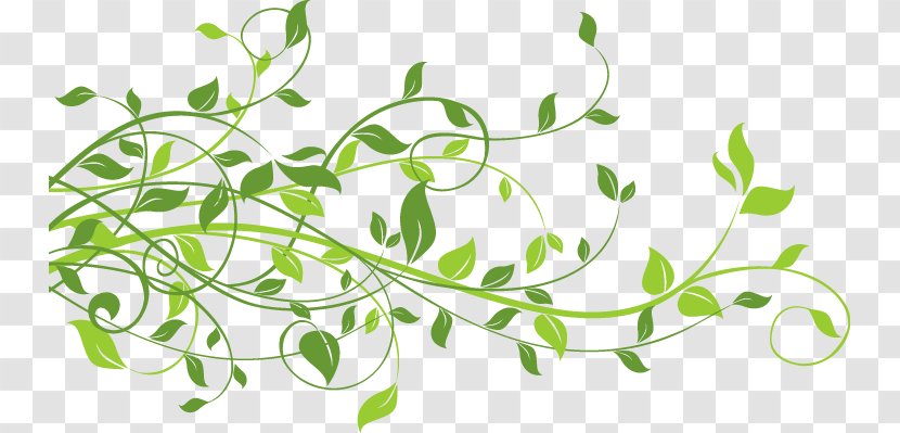 Clip Art - Plant - Green Leaf Borders Transparent PNG