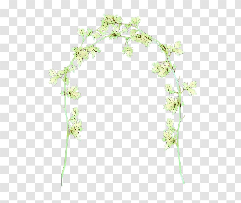 Floral Leaf - Cartoon - Ivy Flower Transparent PNG