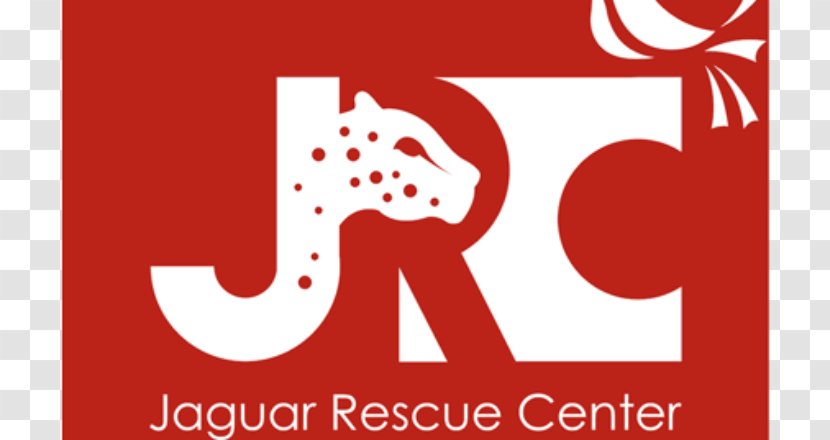 Jaguar Rescue Center Puerto Viejo De Talamanca Tiger Animal Transparent PNG