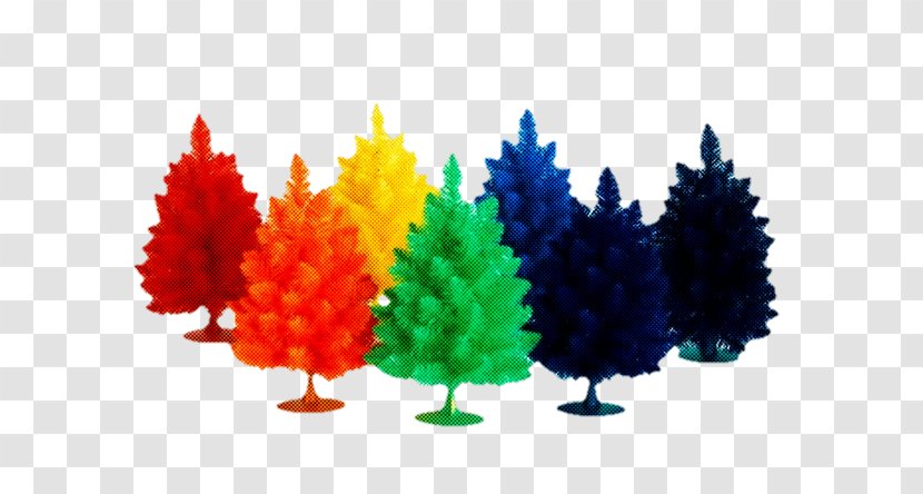 Tree Plant Pine Family Transparent PNG