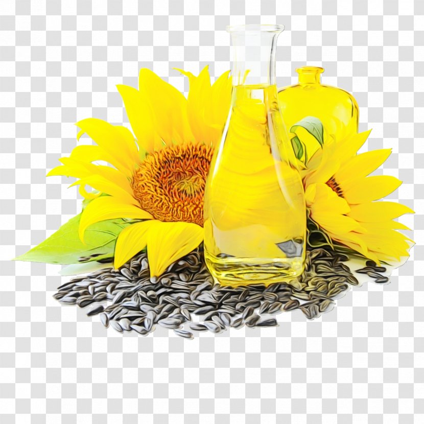 Sunflower - Wet Ink - Flowering Plant Vegetarian Food Transparent PNG