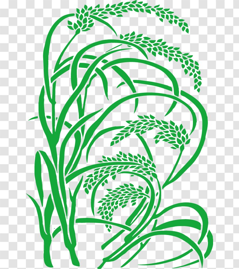 Rice Paddy Field Clip Art - Caryopsis - Paddy,Rice,Rice,Hedao Transparent PNG