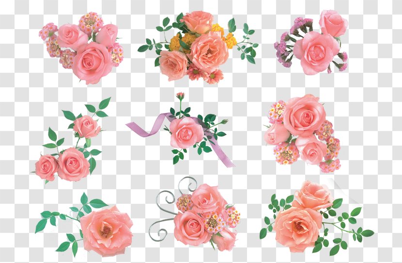Garden Roses Pink Flower Bouquet - Rose Transparent PNG