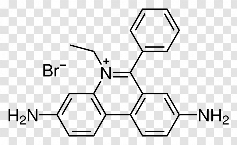 Ethidium Bromide SYBR Green I DNA Gel Electrophoresis Fluorescence - Cartoon - Silhouette Transparent PNG