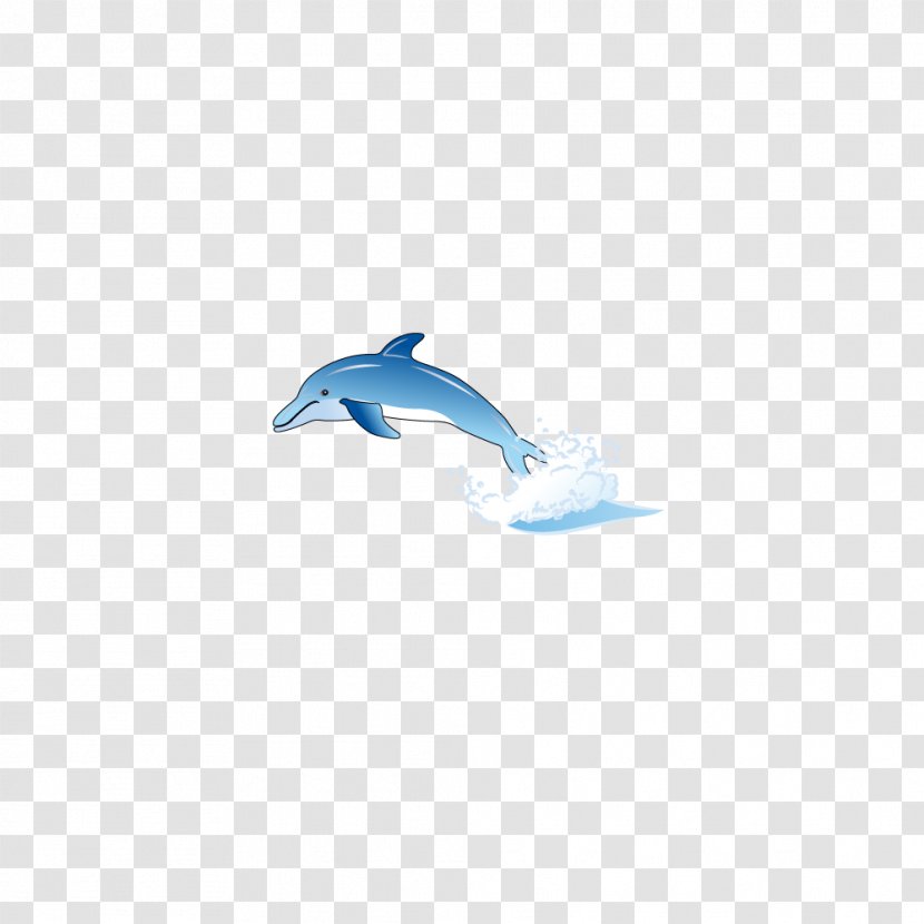 Marine Mammal Sky Pattern - Dolphin Transparent PNG