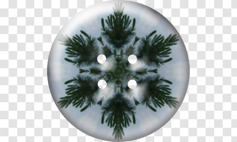 Fir Christmas Ornament Tree Spruce Day - Evergreen Transparent PNG