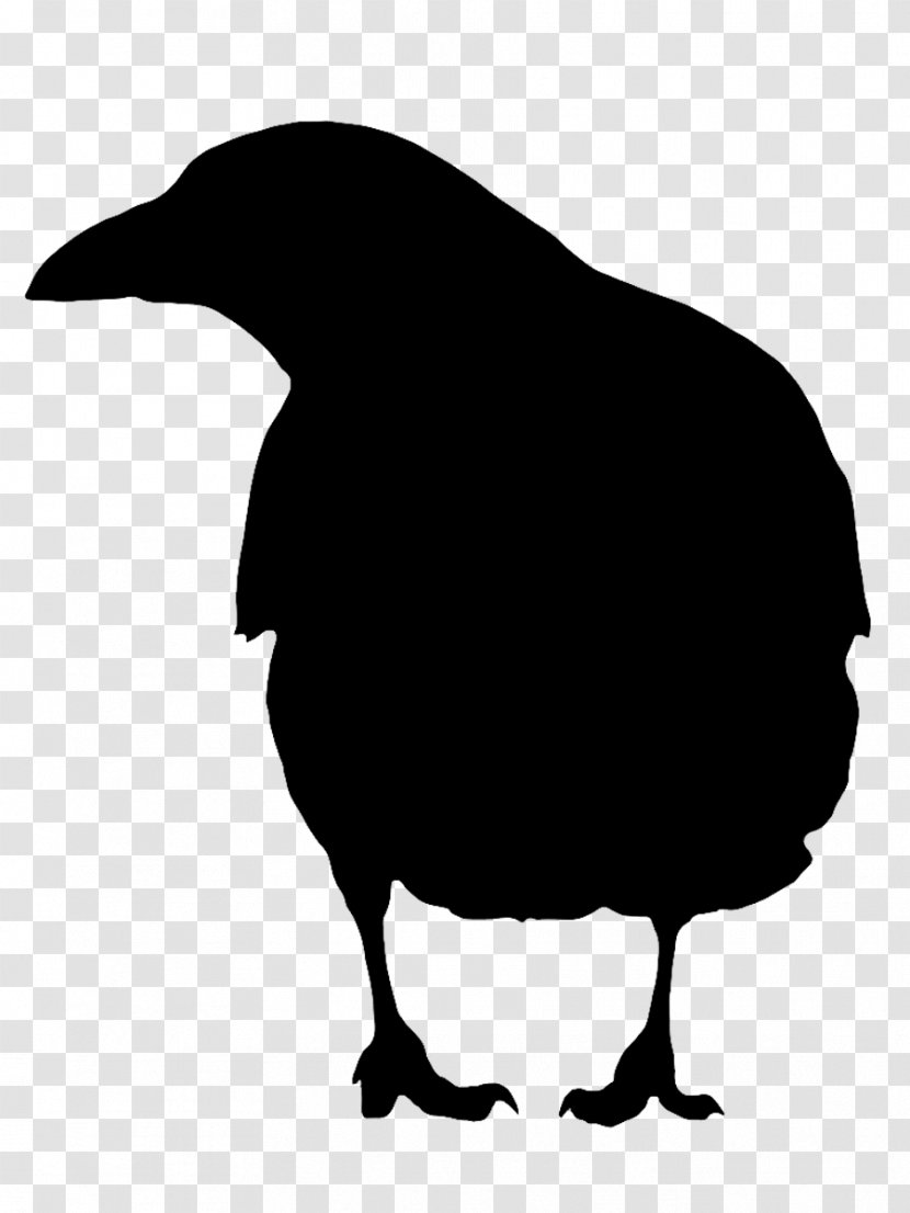 Beak Clip Art Fauna Silhouette Landfowl - Blackandwhite Transparent PNG