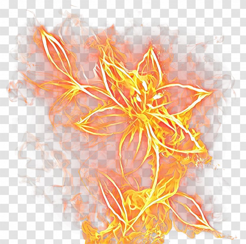Flowers Background - Floral Design - Art Orange Transparent PNG