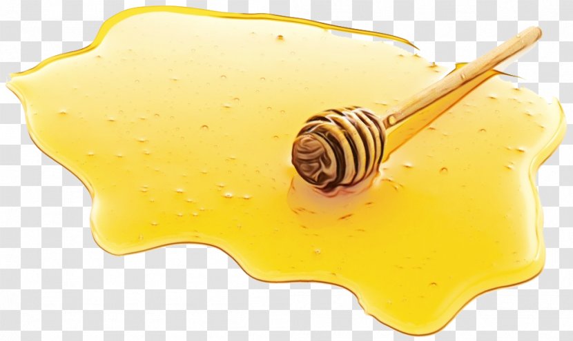 Snail Cartoon - Sea - Honey Transparent PNG