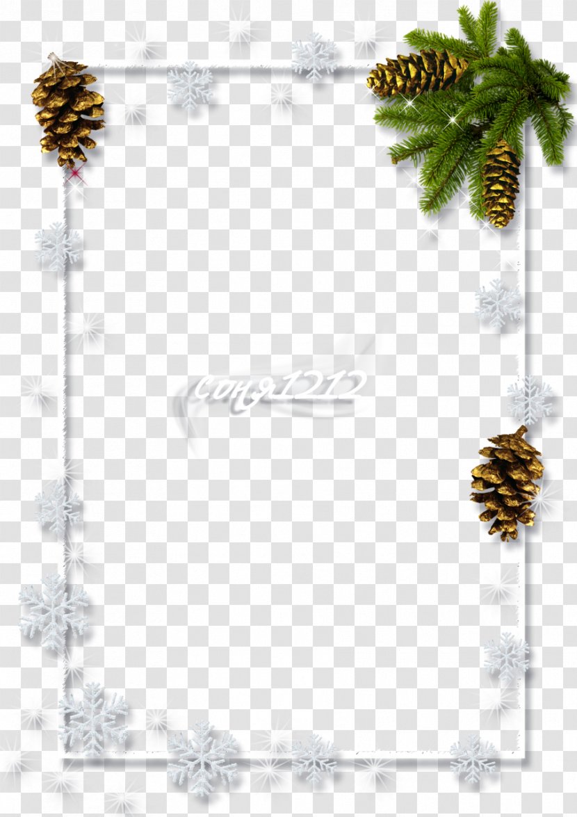 Spruce Christmas Ornament Towanda Picture Frames - Twig Transparent PNG