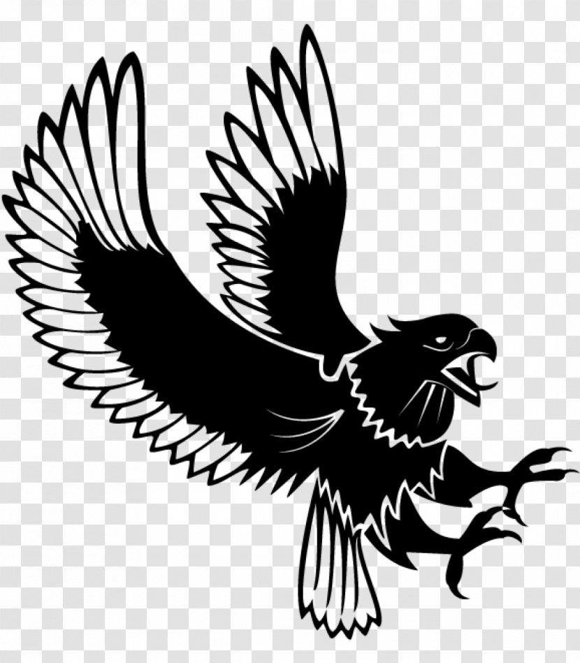 Bald Eagle Clip Art - Fauna Transparent PNG