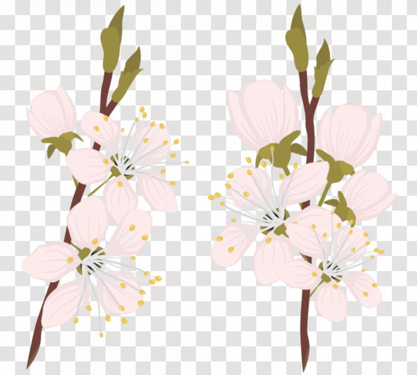 Floral Design Japan Cherry Blossom Flower - Floristry Transparent PNG