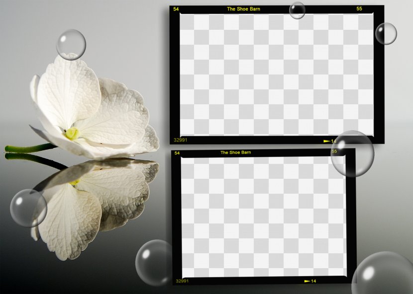 Flower Desktop Wallpaper Nature Mirror - Highdefinition Television - Photoshop Transparent PNG