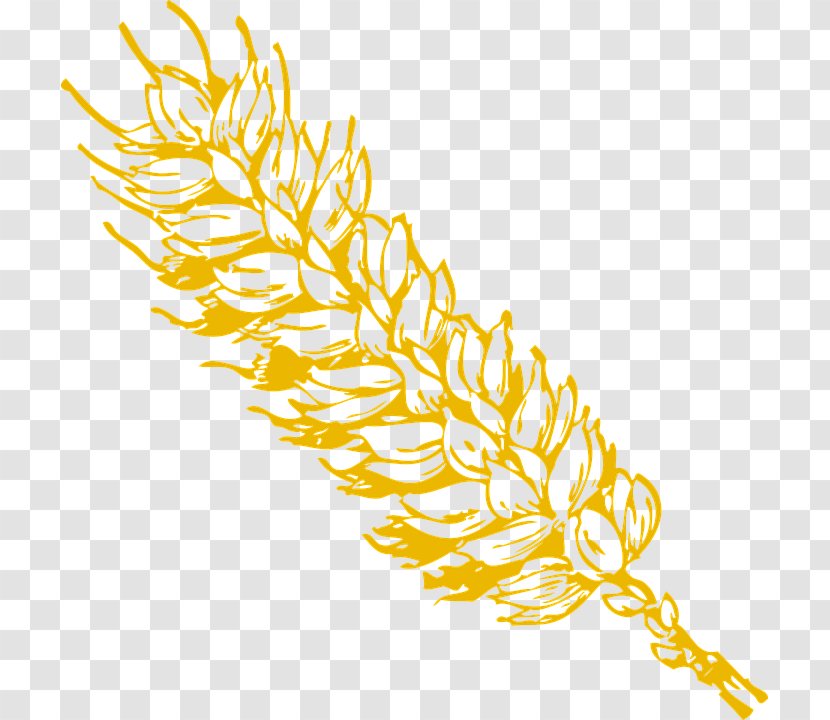 Wheat Grain Clip Art - Flower Transparent PNG