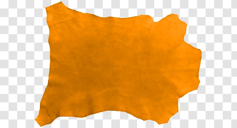 TinyPic Orange S.A. Video PhotoScape - PERGAMINOS Transparent PNG