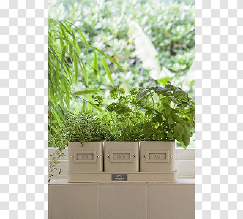Flowerpot The Potted Herb Tray Flower Box - Gardening Transparent PNG