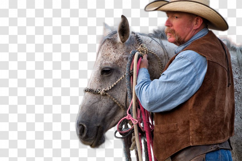 Halter Cattle Mustang American Frontier Ranch - Pack Animal - Cowboy Police Equipment Transparent PNG